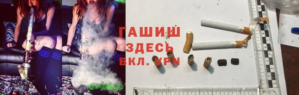 прущие грибы Абинск