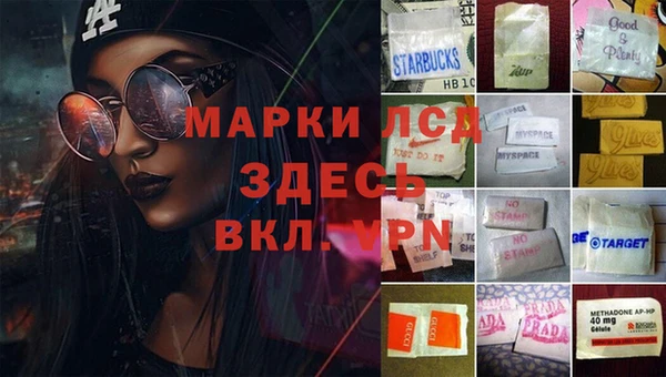 ECSTASY Алзамай