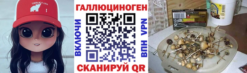 Псилоцибиновые грибы прущие грибы  Нягань 